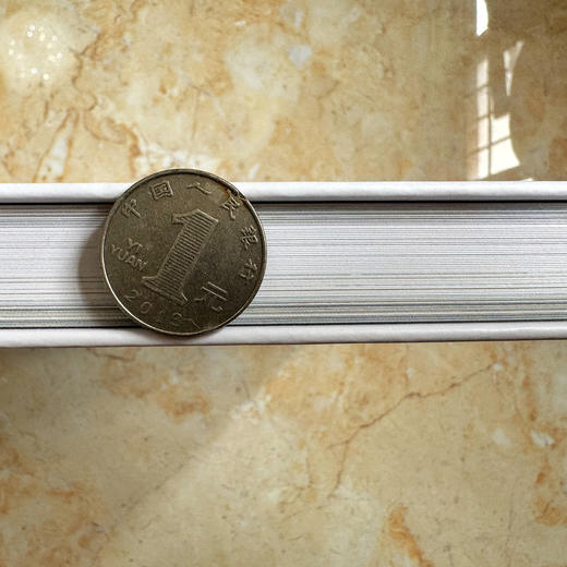 【亲签版】《世界鳖类图鉴》周婷老师独家授权 亲笔手写签名 rlyl力荐【48小时发货】 商品图2