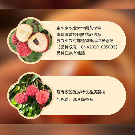 莞香荔荔枝干1斤装 商品图3