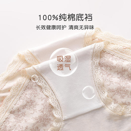 【3条装】法式浪漫碎花中腰纯棉内裤女柔软亲肤100%棉加长裆3811森系碎花内裤 商品图5