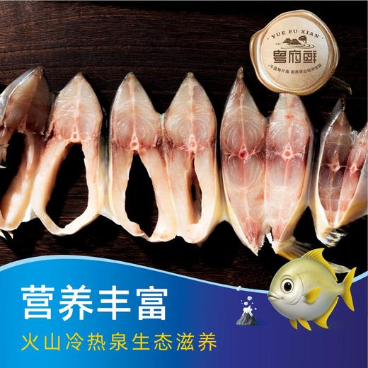 粤府鲜  淡晒金鲳鱼（390-425克装） 商品图3