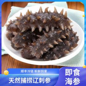 【到手2斤】冠参岛即食海参500g*2盒 8-12头/斤 产地直发 品质保证