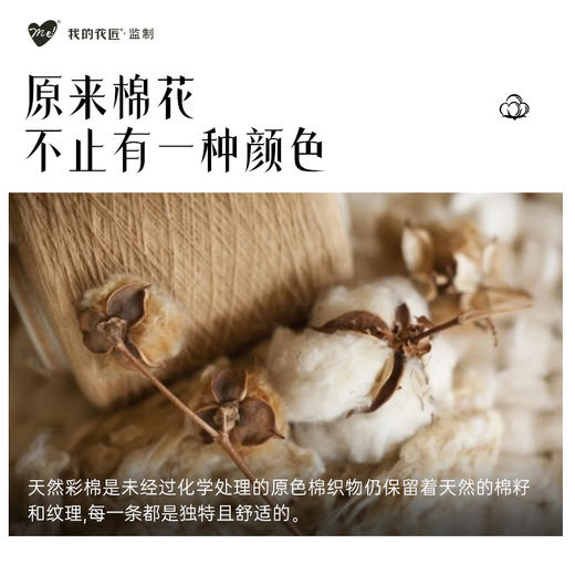 【彩棉款】me！女士小净裤-彩棉款 2条/盒 商品图1