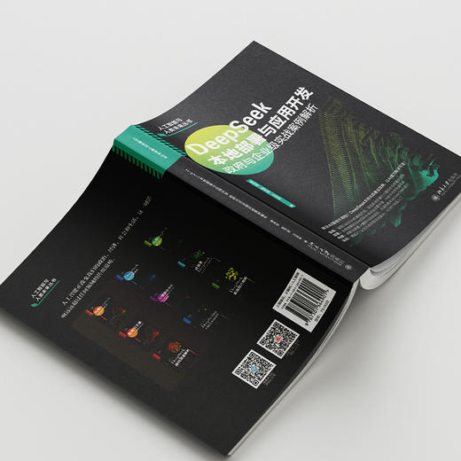 DeepSeek本地部署与应用开发：政府与企业级实战案例解析 康玮剑 杨杰斌 著 北京大学出版社 商品图3