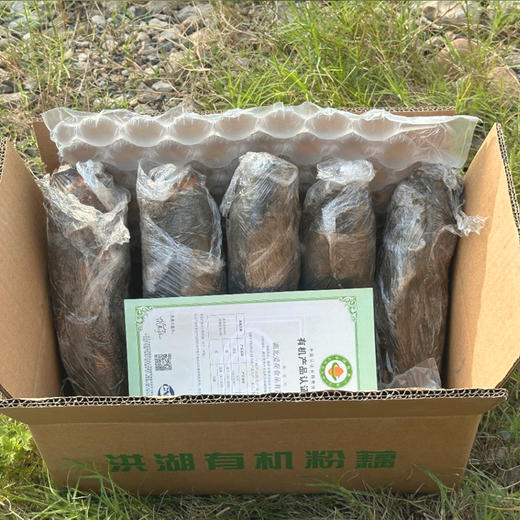正宗洪湖有机粉藕 现挖鲜发莲藕 粉糯香甜 煲汤主角 商品图2