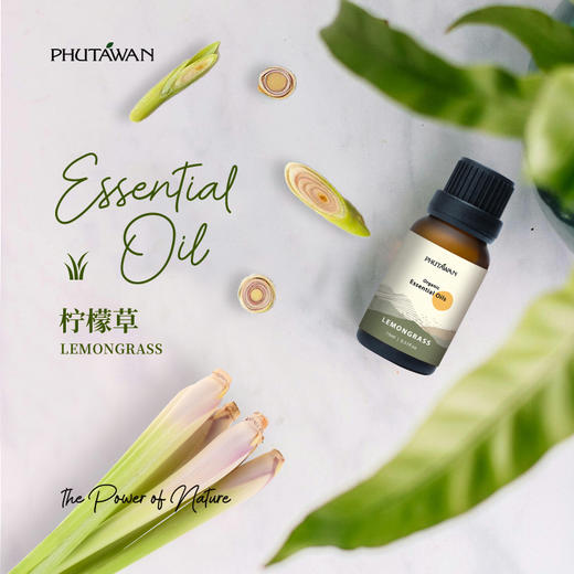 普达湾泰国进口植物单方精油 15ml  可配合香薰机 A-5213 商品图1