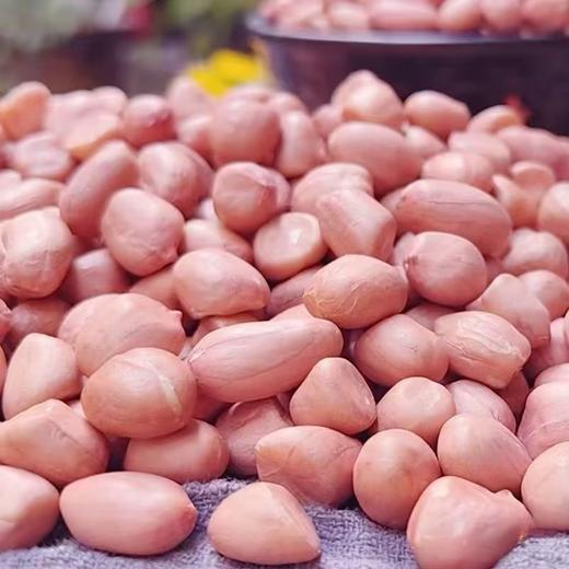 一粒翁-花生米(大)350/包 商品图1