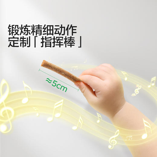 【宝宝馋了】水果棒（蓝莓/蜜桃/菠萝）  原果制作 送10月+婴幼儿食谱 商品图4