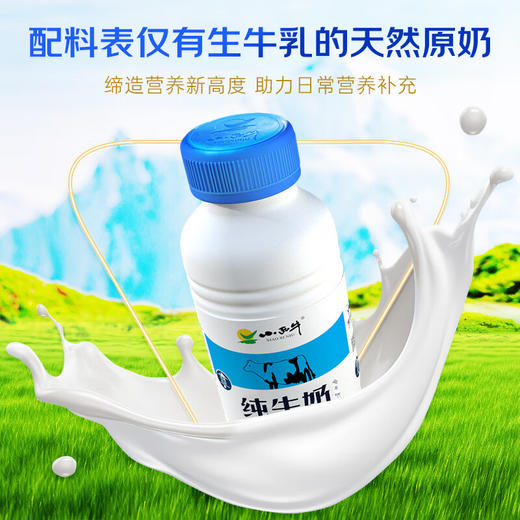 【青海优品】小西牛 青藏奶源纯牛奶 243ml*12 商品图4
