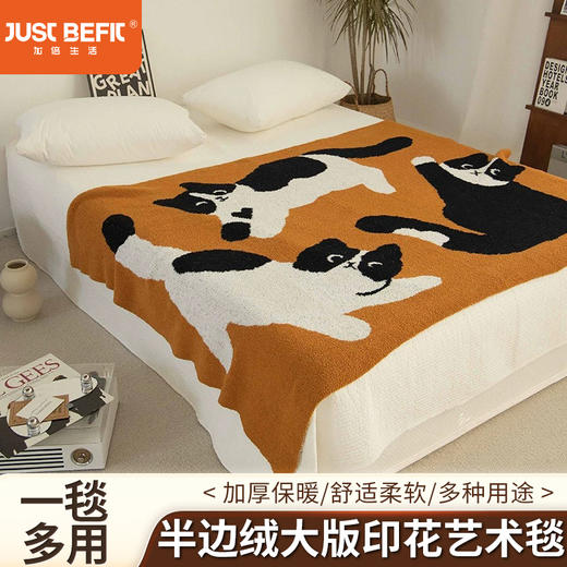【品牌直发】加倍生活 加厚半边绒艺术毯 办公室午睡毯沙发盖毯空调毯午休四季加厚毯子汽车用毯 商品图0