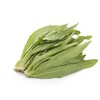 【蔬】油麦菜一颗约200g 商品缩略图1