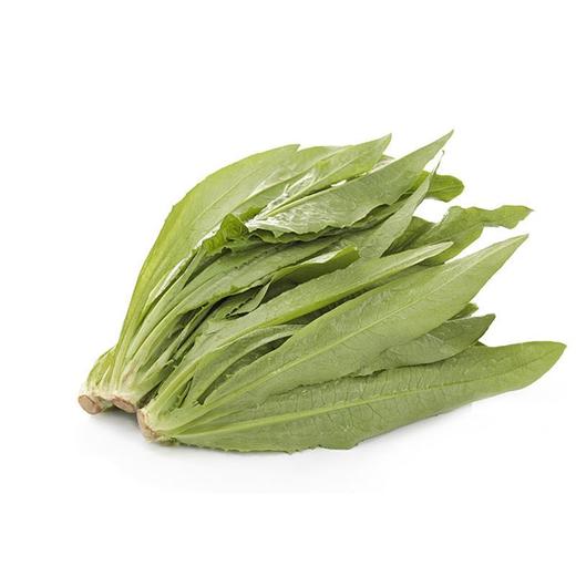 【蔬】油麦菜一颗约200g 商品图1