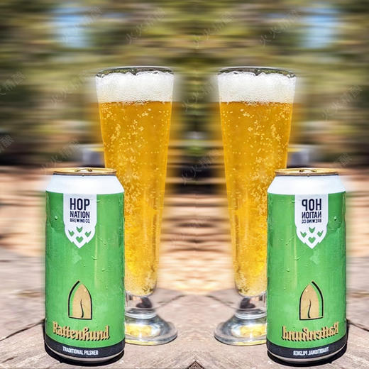 【预售】（特价）酒花民族 灰猎犬 440ml 商品图0