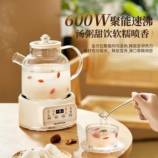 SERAFINOZANI尚尼
液体加热器（花茶壶）
SZ-F80 商品图4