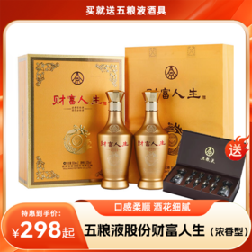 【送酒具】五粮液股份财富人生金钻52度浓香型白酒（500ml*2瓶 礼盒含礼袋）买就送五粮液酒具