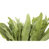 【蔬】油麦菜一颗约200g 商品缩略图2