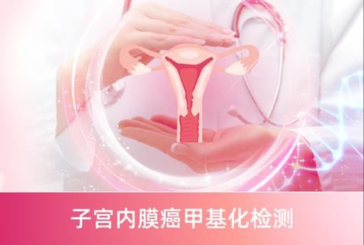 子宫内膜癌甲基化检测 商品图0