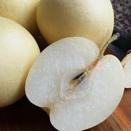 赵县心之力皇冠梨、雪花梨 套袋 树上自然熟 生态种植 基地直发 包邮 商品图3