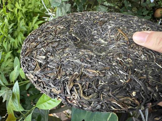 一提试用装，一提七片试用 商品图3