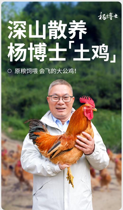 旅院中秋节方案D生鲜套餐 商品图4