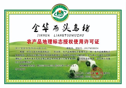 金华小香猪猪肚19.8元1个200-300g,明天到 商品图4