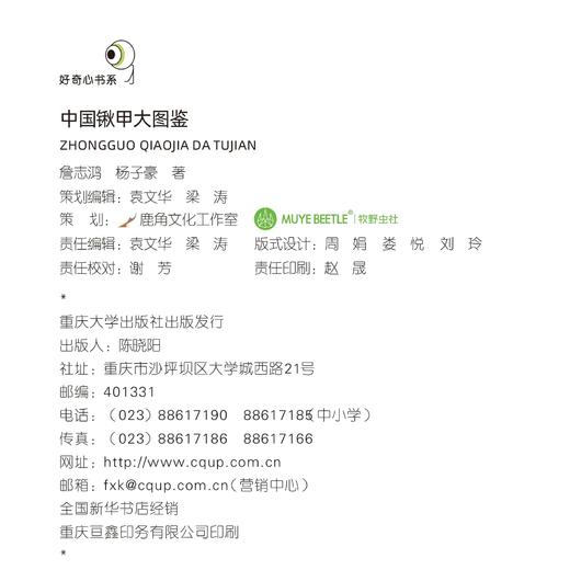 【官方正版】《中国锹甲大图鉴》甲虫书籍甲虫科普锹甲昆虫自然科学 ★ 牧野官方授权-分销 商品图4