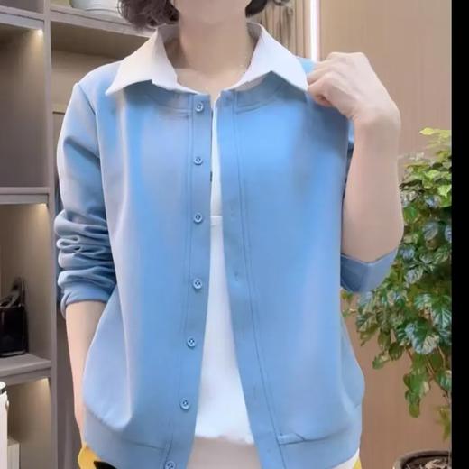 2025春季新款时尚洋气长袖衬衫POLO女士百搭遮肚显瘦打底减龄上衣 商品图0