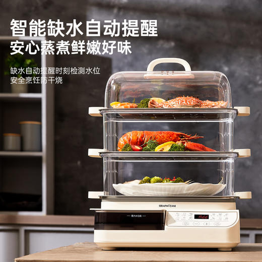 SERAFINOZANI尚尼
多功能电蒸锅
SZ-B50 商品图4