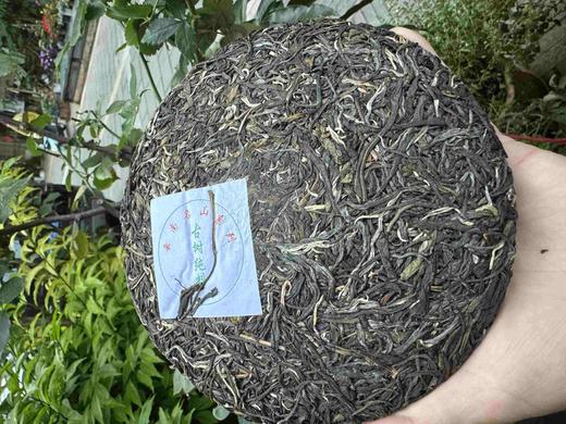 一提试用装，一提七片试用 商品图1