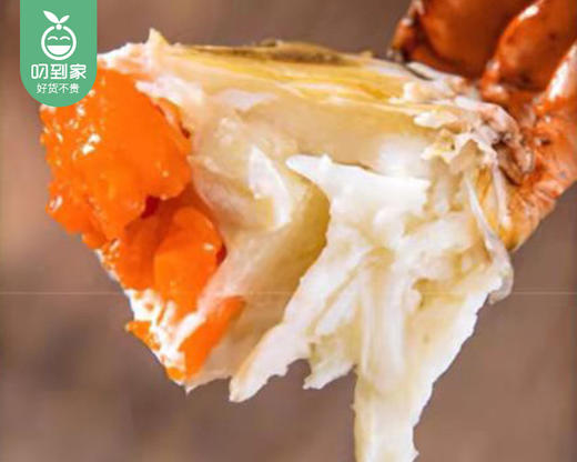 鲜活红树林红膏鲟/1份（2只，共250±30g） 商品图2