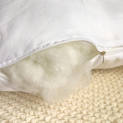 【品牌直发】加倍生活 花物语系列全棉毛巾绣抱枕 45*45cm yb0929003 商品图7