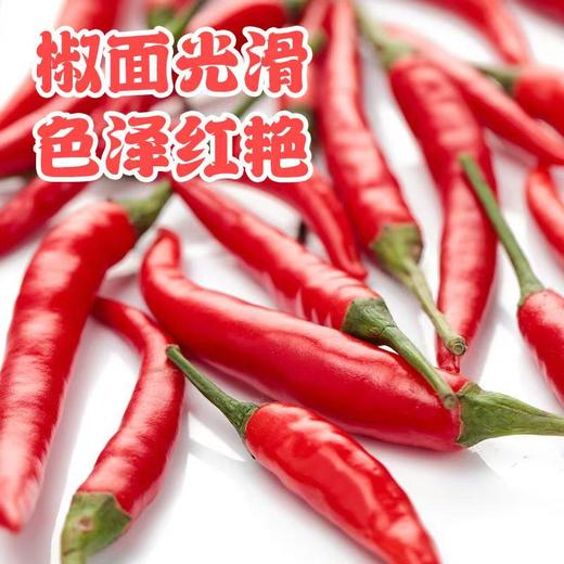 【蔬】指天椒/小米辣 50g/份 商品图4