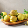 心选丨库尔勒香梨顺丰发货皮薄肉细汁多味甜清香扑鼻令人回味无穷 商品缩略图1