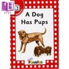 【中商原版】Jolly Phonics Readers Red Level 1 Complete Set 快乐自然拼读读物红色等级18本套装 1级 英文原版英语分级读物 商品缩略图3
