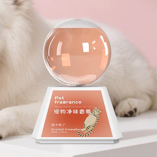 家用除味倒置香薰纪念日百货门店同款165595250 商品图1