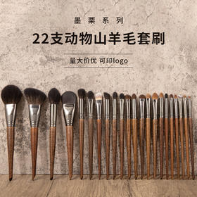化妆刷套刷高级22支动物羊毛化妆刷套装沧州眼影鼻影刷化妆师推荐