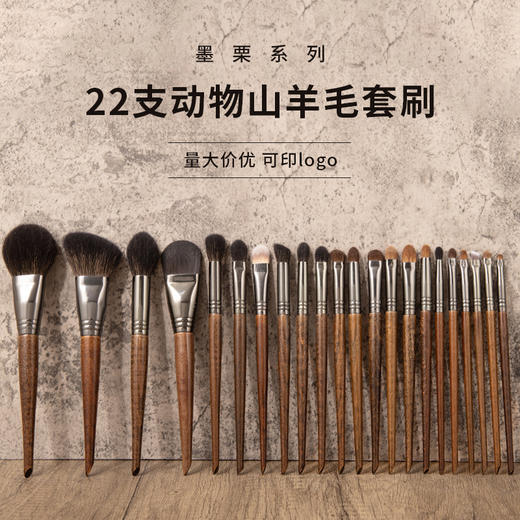 化妆刷套刷高级22支动物羊毛化妆刷套装沧州眼影鼻影刷化妆师推荐 商品图0