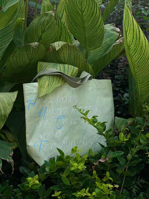 浅绿笺·随行杜邦纸袋帆布包 商品图1