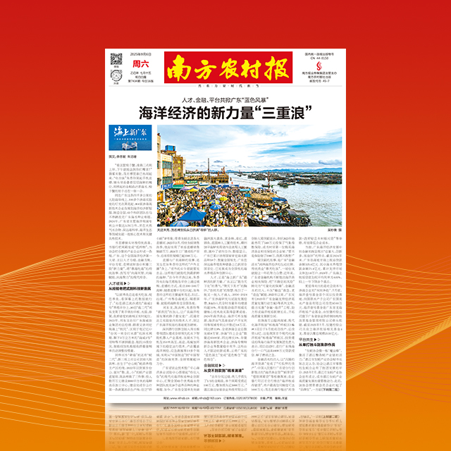 南方农村报（2026年）