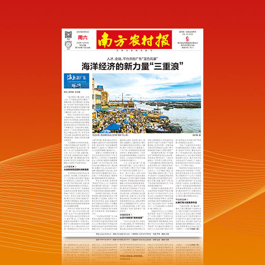 南方农村报（2026年） 商品图0