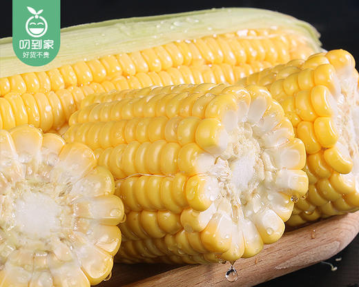 长泰新鲜甜玉米（1.5kg±100g/份） 商品图2