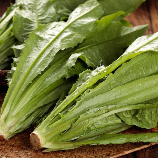 【蔬】油麦菜一颗约200g 商品图6