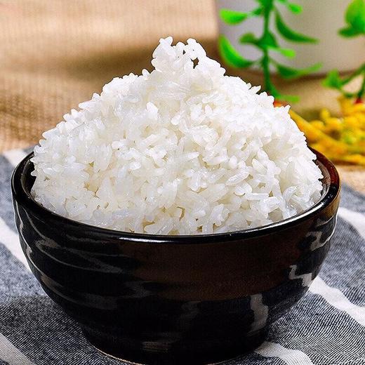 黑土小镇 五常大米5kg 商品图1