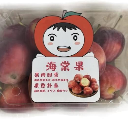 海棠果500g/盒（水果） 商品图0