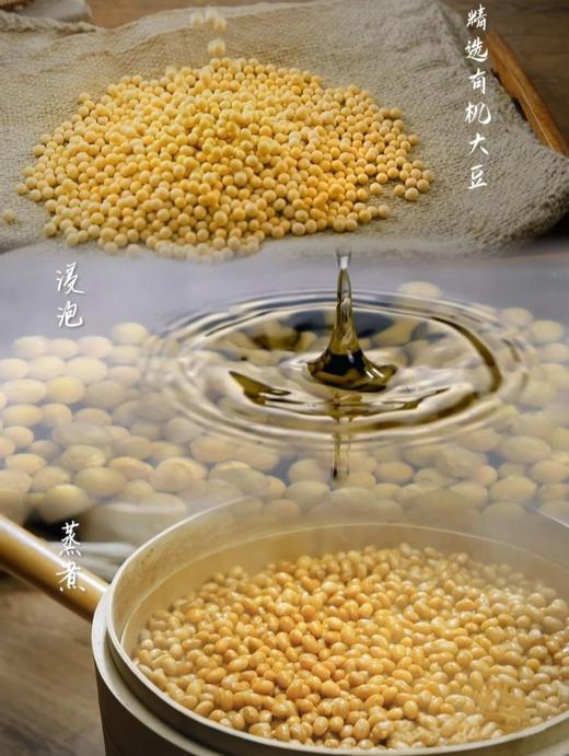 「晒出来的好醋好酱油」贵州老字号非遗晒醋/晒酱油 500ml/瓶 txa 商品图2