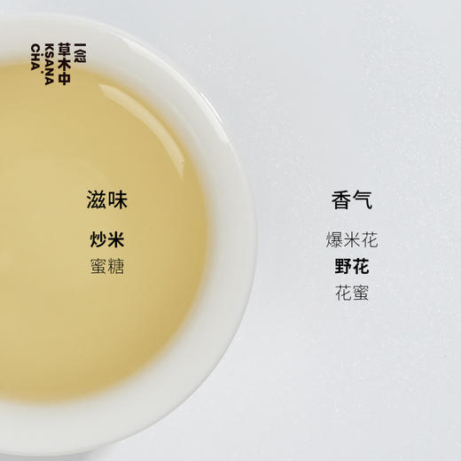 少年游·浓香型铁观音 | 自在茶系列 | 2.5g*7包 | 乌龙茶类 商品图1