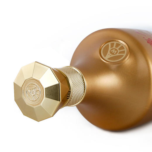 【送酒具】五粮液股份财富人生金钻52度浓香型白酒（500ml*2瓶 礼盒含礼袋）买就送五粮液酒具 商品图4