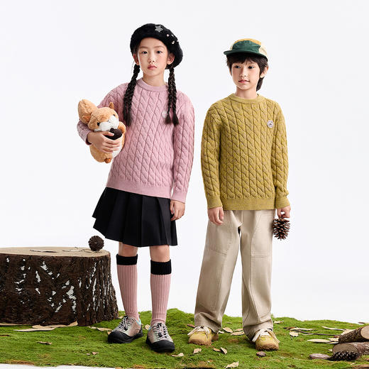 【经典麻花编织毛衣】男女童圆领长袖针织衫冬季新款安奈儿童装EM544641 商品图3