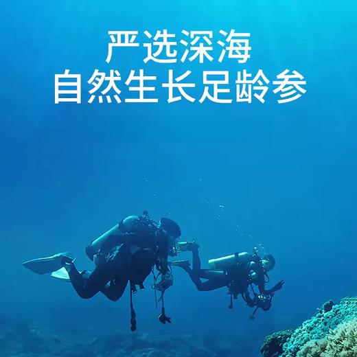 【到手2斤】冠参岛即食海参500g*2盒 8-12头/斤 产地直发 品质保证 商品图5