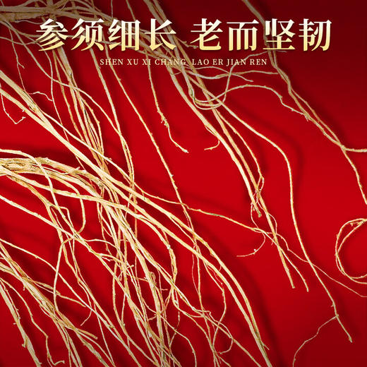 热售【精品林下参亚克力礼盒】长白山人参精品林下参亚克力礼盒30克 商品图4