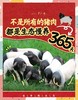 金华小香猪猪肚19.8元1个200-300g,明天到 商品缩略图2